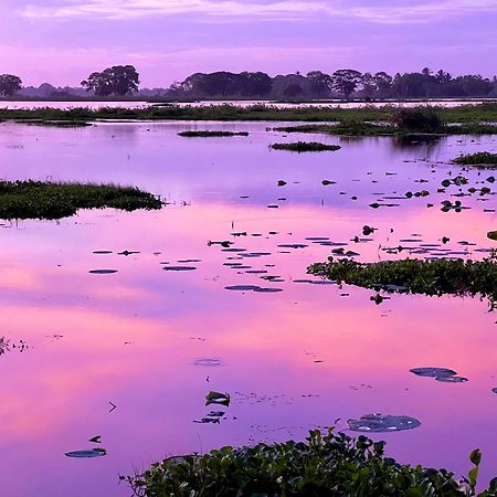 Lake Face Cabana Tissamaharama Ngoại thất bức ảnh