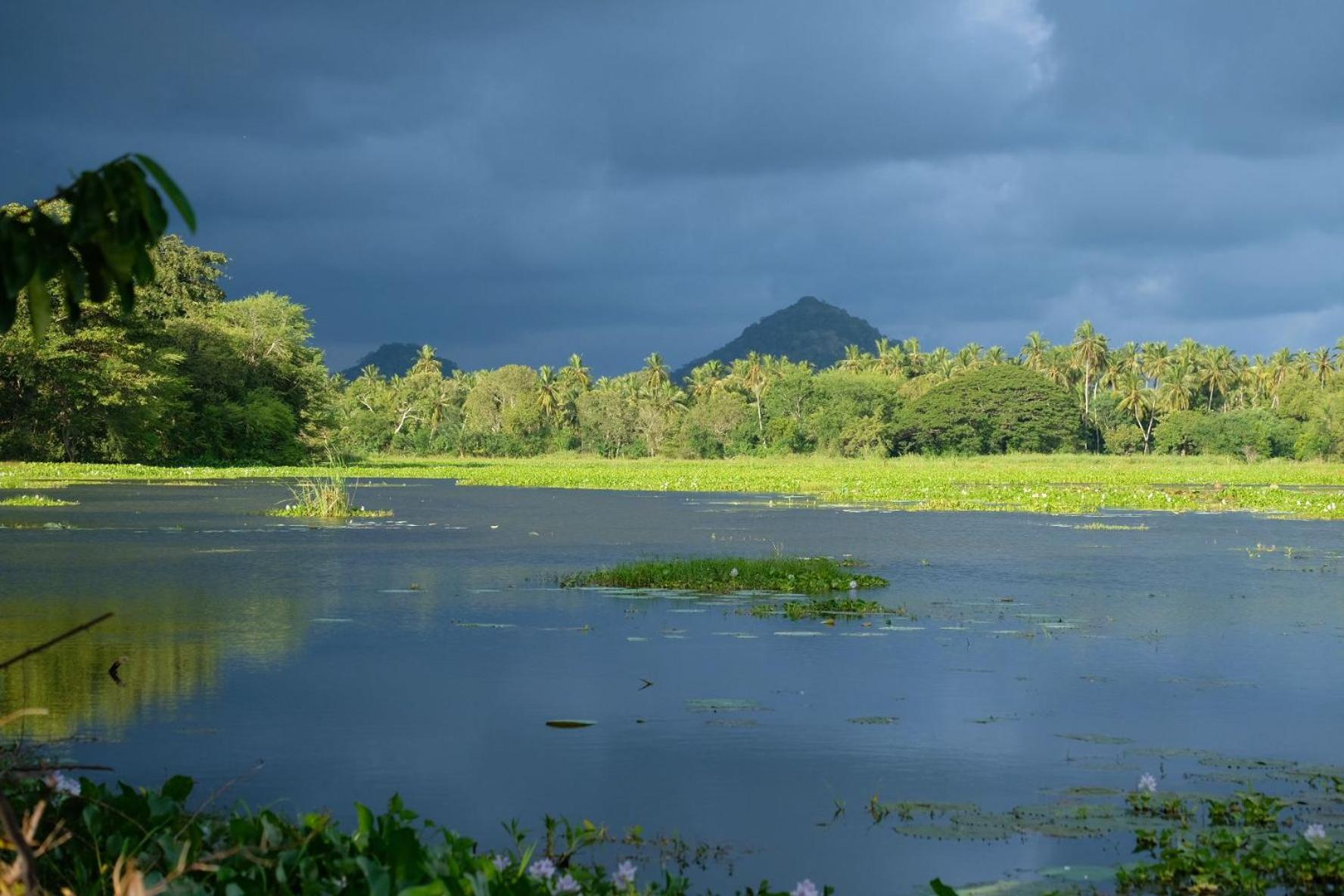 Lake Face Cabana Tissamaharama Ngoại thất bức ảnh
