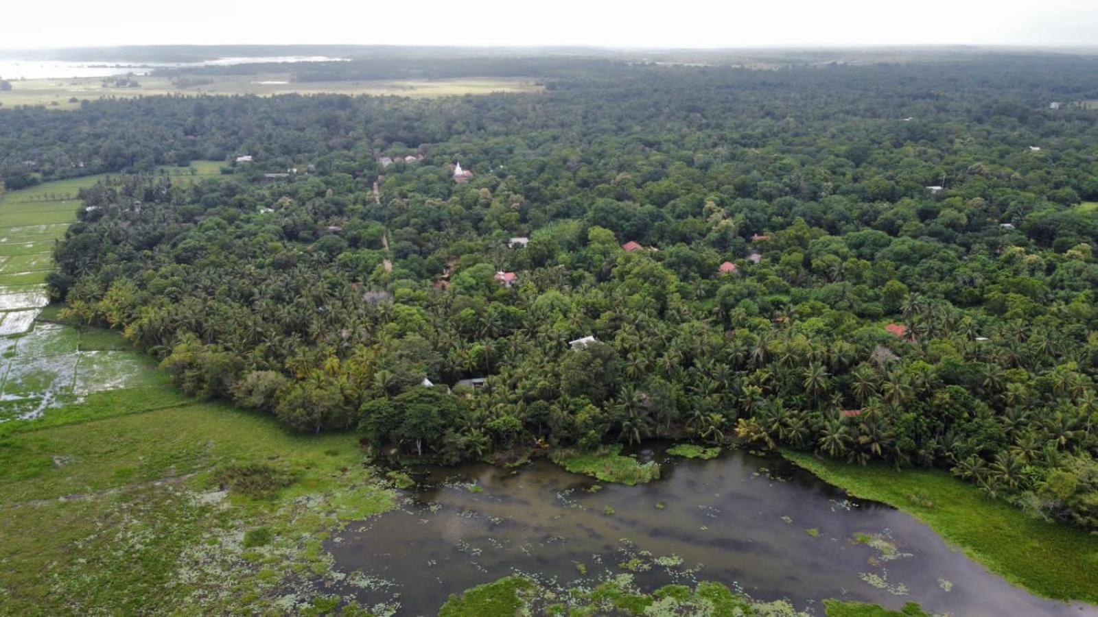 Lake Face Cabana Tissamaharama Ngoại thất bức ảnh