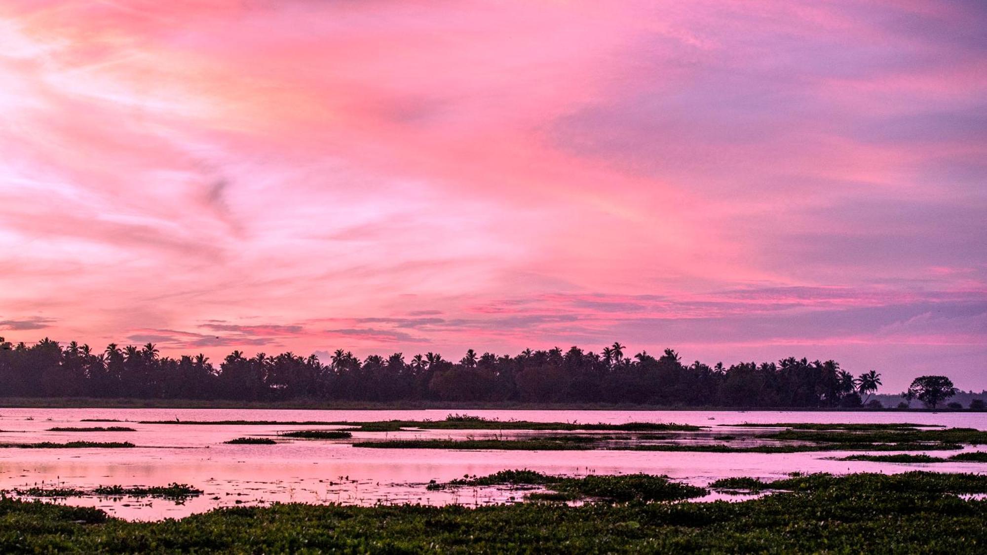 Lake Face Cabana Tissamaharama Ngoại thất bức ảnh