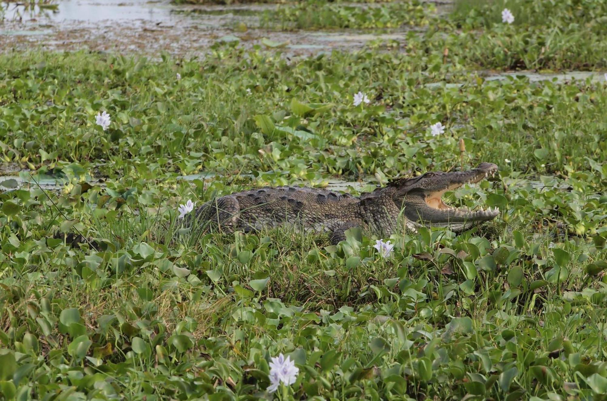 Lake Face Cabana Tissamaharama Ngoại thất bức ảnh
